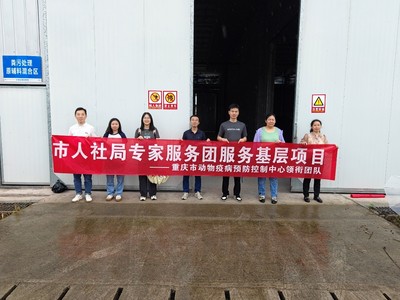 深入養(yǎng)殖一線送技術(shù) 助力蛋雞產(chǎn)業(yè)提效益——市人社局第五批專家服務(wù)團(tuán)楊澤林團(tuán)隊(duì)赴長(zhǎng)壽區(qū)葛蘭鎮(zhèn)開(kāi)展技術(shù)服務(wù)
