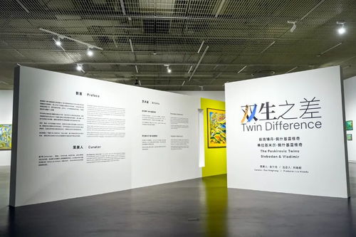 在坪山聆聽雙子星的對話——從王澎、林璇“雙生”個展看差異與共生的藝術之美